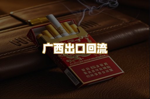 广西出口回流